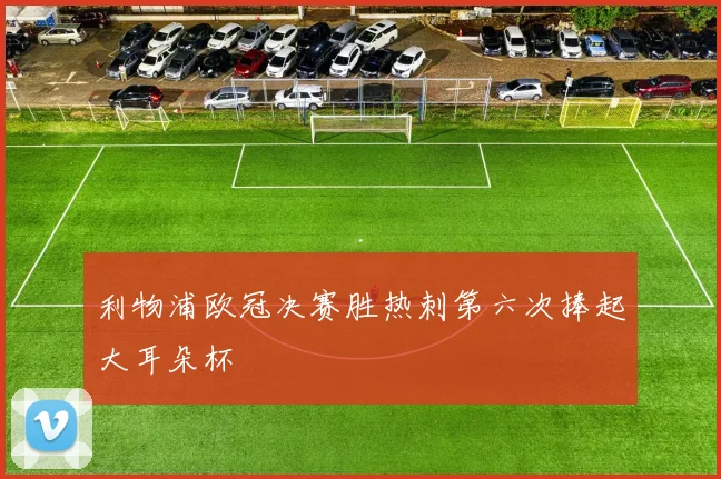 利物浦欧冠决赛胜热刺第六次捧起大耳朵杯