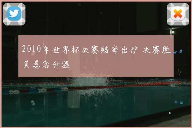 2010年世界杯决赛赔率出炉 决赛胜负悬念升温